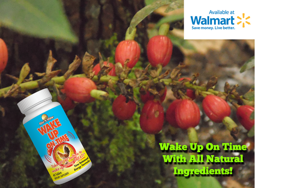 All Natural Ingredients to Wake You Up On Time!